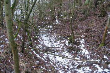 první západní příkop (© D Dohňanský, 01/2016)