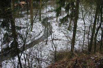 jižní svah tvrziště,pod nímž teče Blata (© D Dohňanský, 01/2016)