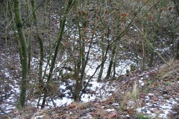 příkop na východě (© D Dohňanský, 01/2016)