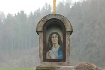  (© Ondřej Peterka , 04/2013)