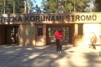 Stezka korunami stromů