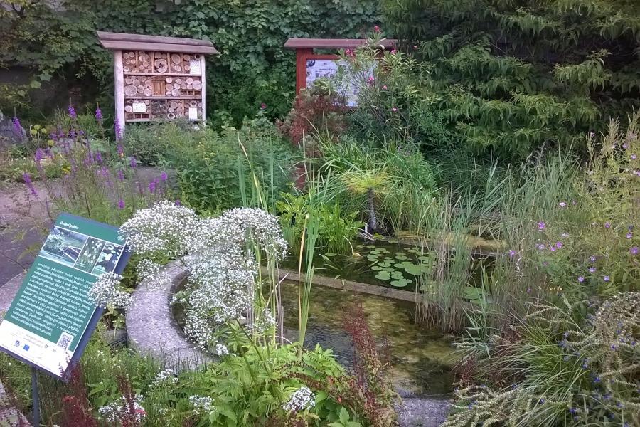 Botanická zahrada Přírodovědecké fakulty Univerzity Palackého