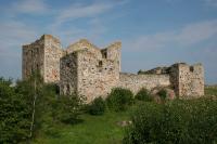 Brahehus