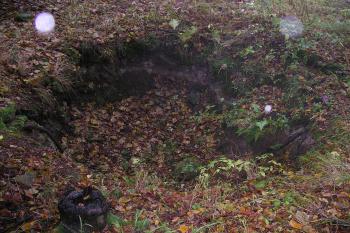 Zřícenina hradu Radkov (© Vlastislav Mareček, 11/2009)