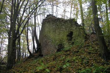 Zřícenina hradu Radkov (© Vlastislav Mareček, 11/2009)