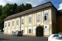 Puklice