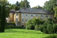 Puklice