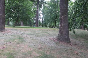 Zámecký park ( © Dušan Dohňanský 08/2019)