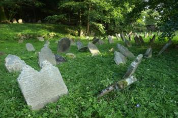  ( © Milan Caha 09/2011)