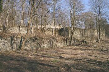 Pohled na zbytky Dolního a Horního zámku ( © Luděk Pitter 03/2005)
