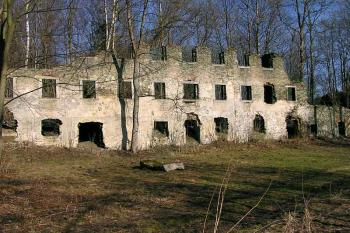  ( © Luděk Pitter 03/2005)
