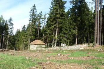  ( © Milan Caha 04/2012)