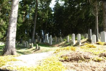  ( © Milan Caha 04/2012)