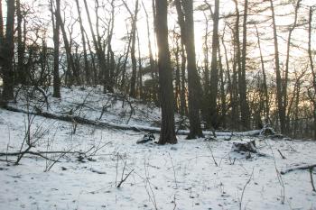  (© Prudký Martin, 02/2013)