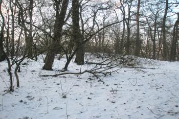  (© Prudký Martin, 02/2013)