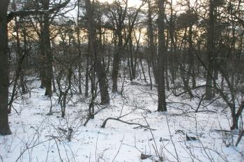 Jihozápadní část (© Prudký Martin, 02/2013)