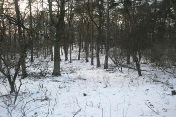 Pohled od jihu k severu (© Prudký Martin, 02/2013)