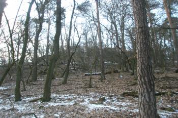Jihovýchodní úpatí (© Prudký Martin, 02/2013)