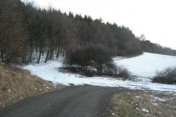 Západní svah (© Prudký Martin, 02/2013)