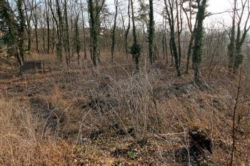 plocha tvrziště od kostela (© Pavel Zany Komárek 15. 3. 2012)