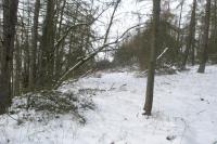 Chyše
