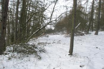 Jižní hrana, pohled k západu (© Prudký Martin, 02/2013)