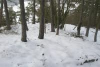 Chyše