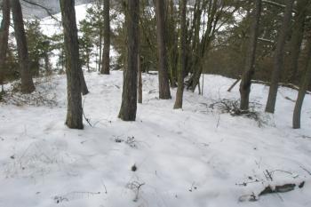 Konec ostrožny (© Prudký Martin, 02/2013)