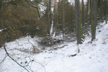 Severní hrana svahu s valem (© Prudký Martin, 02/2013)