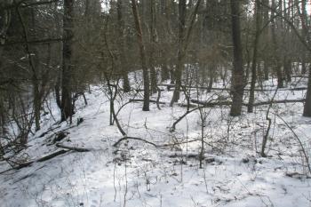 Pohled na příčný val z vnitřku hradiště (© Prudký Martin, 02/2013)