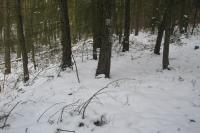 Chyše