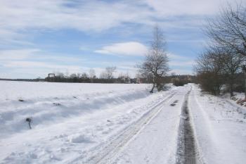 Přístupová cesta os silnice (© Prudký Martin, 03/2013)