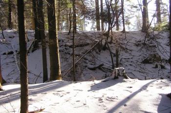 pohled přes val a příkop na hmotu šancí (© Jan P. Štěpánek 12/2007)