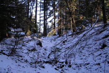 jižní část šancí (© Jan P. Štěpánek 12/2007)