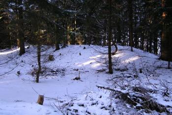 okraj šancí (© Jan P. Štěpánek 12/2007)