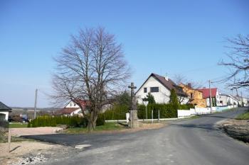 celkový pohled na areál zaniklého dvora od západu (© Jan P. Štěpánek 04/2009)