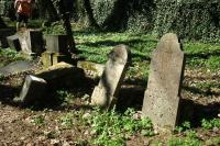 židovský hřbitov