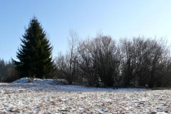 Celkový pohled na lokalitu šancí Dolina od severovýchodu ( © Jan P. Štěpánek 12/2009)