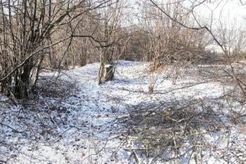 Pohled přes vnitřní prostor šancí na jejich západní část se vstupem (vpravo v obvodu zemního tělesa) ( © Jan P. Štěpánek 12/2009)