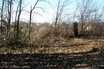 Ostrožna, pohled na západ (© Prudký Martin, 03/2013)