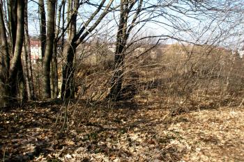 Jižní břeh ostrožny (© Prudký Martin, 03/2013)