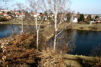 Rybníky Malá a Velká Obůrka (© Prudký Martin, 03/2013)