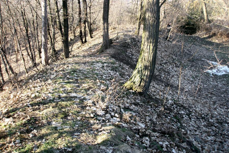 Levý Hradec