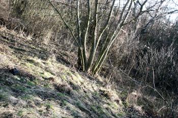 Příkop mezi dvěma částmi hradiště (© Prudký Martin, 03/2013)