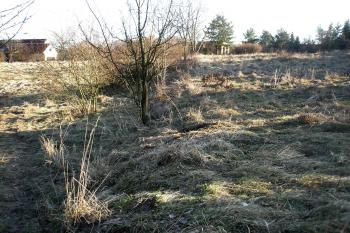  (© Prudký Martin, 03/2013)