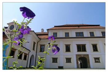 Z rychnovského zámku - druhé nádvoří (© Jan Klapetek 06/2006)