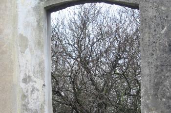 Zarostlý vchod jako z pohádky  O Šípkové Růžence (© D Dohňanský, 01/2016)