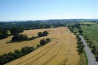 Pětnice