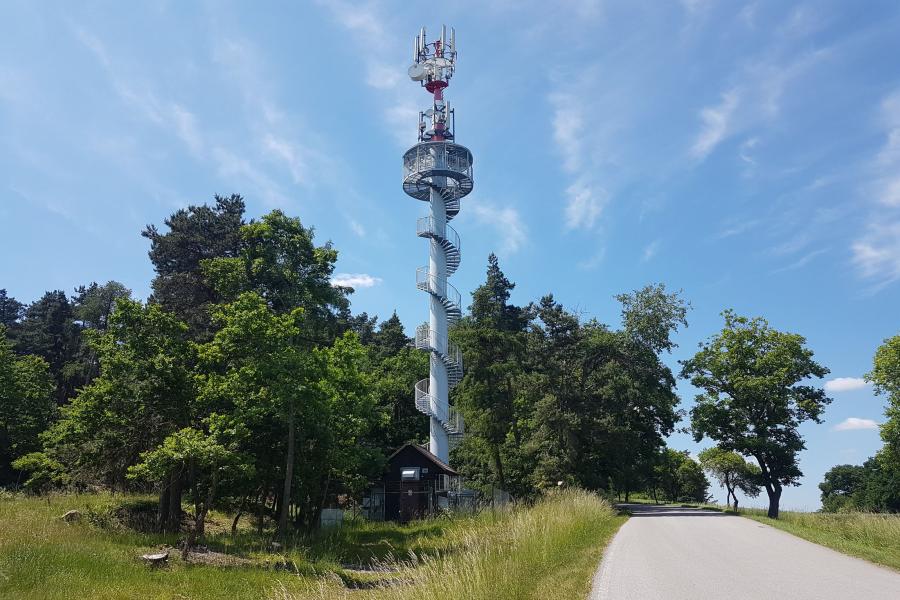 Pětnice