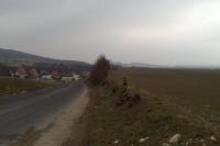 Poplze